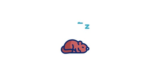 Sleep Animated Icon