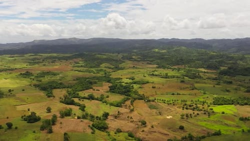 Lush Green Farmland Aerial View