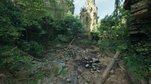 Beautiful Australian Forest Landscape with Rocks and Trees
