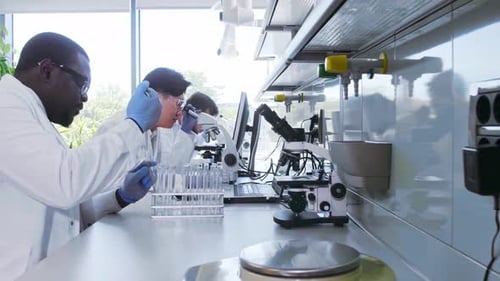 Scientifique et étudiants travaillant dans un laboratoire Médecin enseignant à des stagiaires à créer un laboratoire de recherche d'analyse
