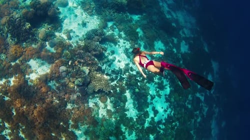 Woman Freediver Swims Underwater Along the Vivid Coral Reef in the Komodo National Park in Indonesia