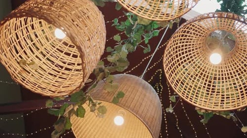 Wicker lamps hanging from the ceiling with vines