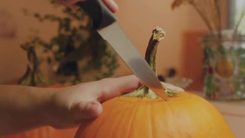Close up adult hand cutting pumpkin top off, in preparation of pumpkin lantern making for halloween