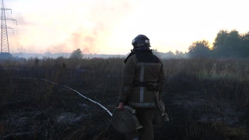 Firefighter Standing in Charred Field With Hoses