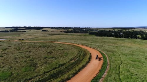 Horse-Drawn Carriage Rides Through Grassy Rural Meadow