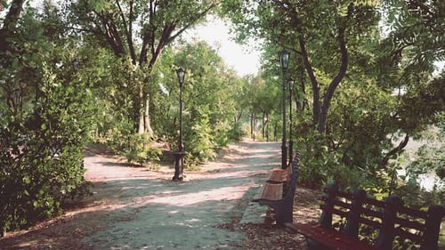 Walking Street With Natural View In Public Park