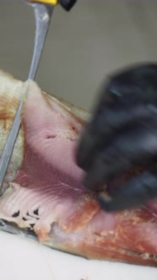 Cutting and filleting raw fish with a knife