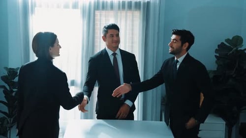 Business Professionals Meeting and Shaking Hands in Office