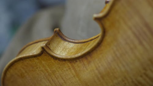 Close-Up of Luthier Antiquing New Violin With Hand-Applied Varnish Along Rib Edge