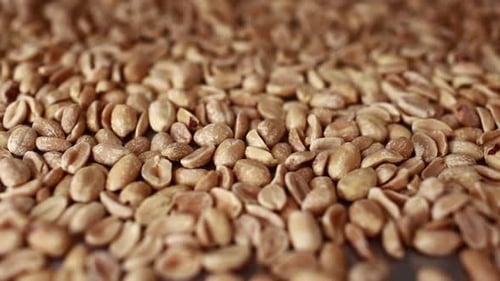 close up of peeled roasted peanuts, healthy nuts, protein food. Isolated background of roasted peanu