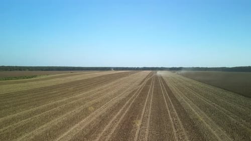 Sunflower field aerial view in Ukraine