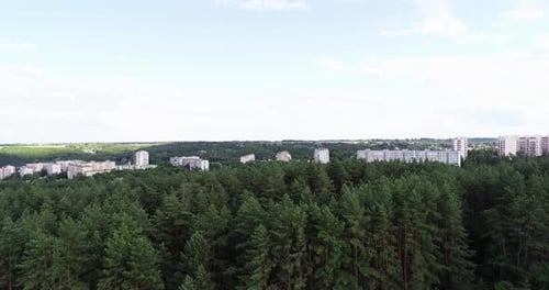 The camera rises above the forest in the middle of which the city is built
