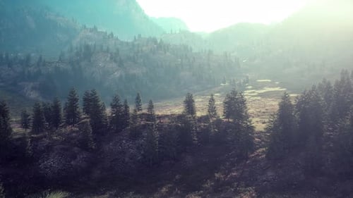 Mountain Range with Valley and Forest