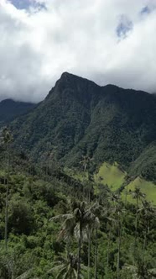 Aerial video over Salento towards a lush forested valley in the mountains of Colombia, Colombia