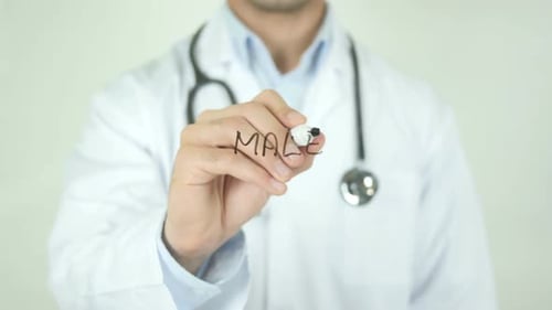 Male Reproductive System, Doctor writing on Transparent Screen