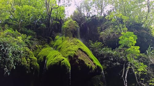 A static shot of a mossy waterfall in a canyon.
