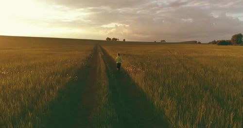 Sporty Child Runs Through a Green Wheat Field Evening Sport Training Exercises at Rural Meadow A