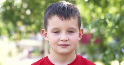 Closeup Portrait of Little Boy Standing in Sunny Park Outdoors
