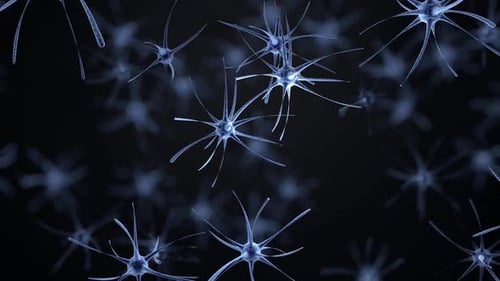 virus attacks the immune system hemorrhagic fever, and animation of viral life cycle