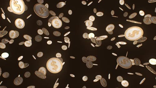 Coins Falling - Dollar Sign Drop Loop with Alpha