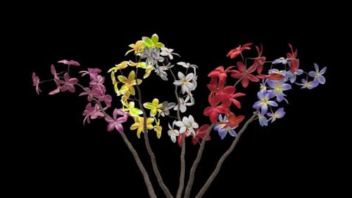 Bunch of Plumeria Frangipani - Blooming White, Pink, Red, Yellow, Blue Flowers - I - Alpha Channel