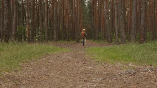 Boy Cycling Alone on Forest Path Surrounded By Tall Trees