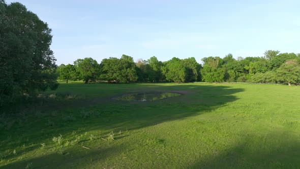 Puddle Of Water In Lush Green Field On Floodplain In Marchegg, Austria ...