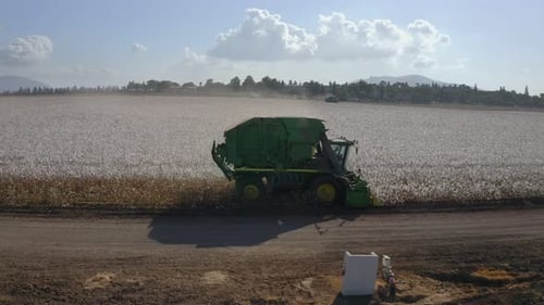 Imágenes aéreas de una cosechadora de algodón en un campo de algodón a gran escala durante la cosecha