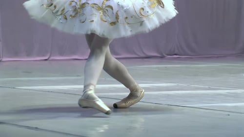Ballet Dancer Performing Footwork in Studio