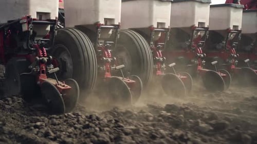 sowing the field with corn grains. tractor works the field with a seeder. close-up