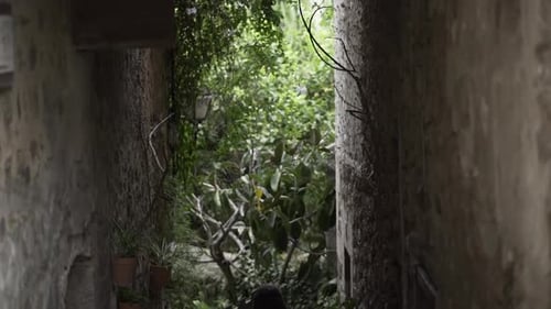 Tilt Down View of a Young Woman Going Down the Stairs of a Tunnel with a Wooden Fence