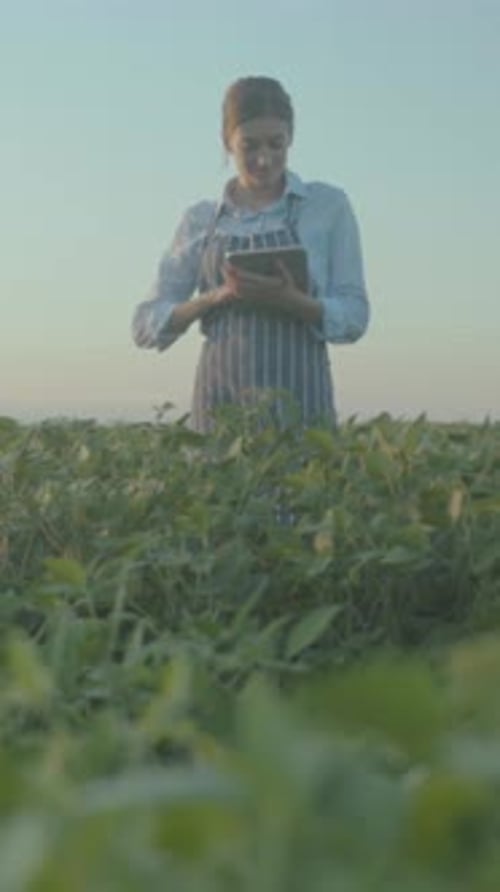 Woman Farmer Inspects Plant Information Closely Caucasian Female Agronomist Analyzes Field Data at