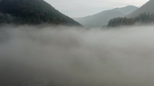Drone that passes over the fog in the middle of the forest in the mountains. DJI Mavic 2 Pro 4K