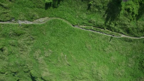 Person Walks Down Rural Grassy Path From Above