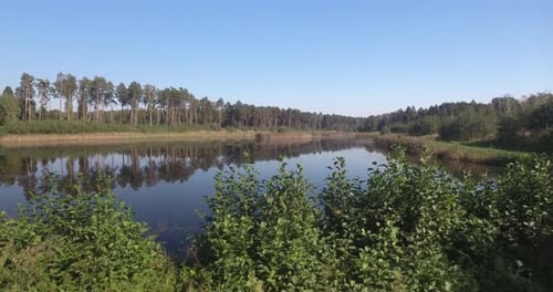 Reveal drone shot showing lake in the middle of a forest with small islands on a sunny day, 4K