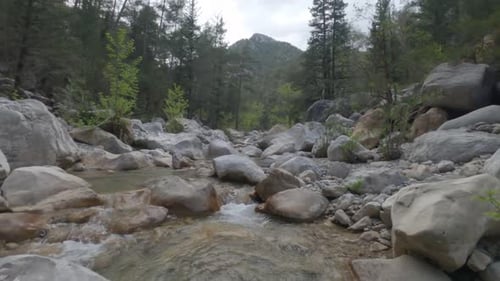 Images prises Drone du ruisseau dans le canyon, d'immenses rochers, forêt, Turquie