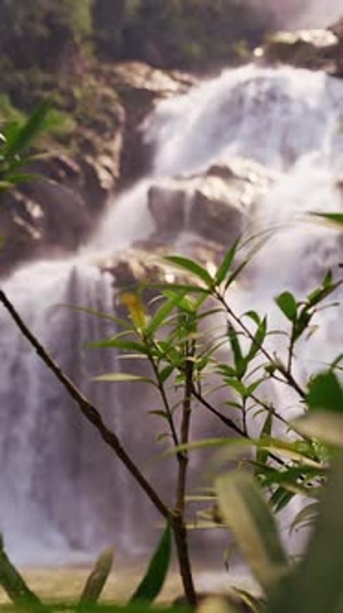 Wide view of cascading waterfall framed by forest vegetation and rock walls expressing Grand Nature