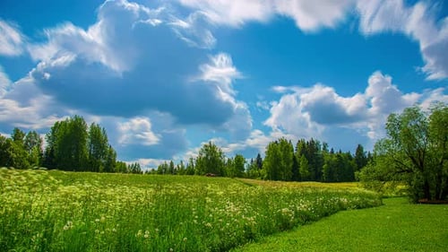 5K Time lapse of cloud formation flying around on blue sky at rural Rape Field in Wilderness