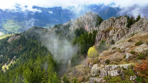Berge in Wolken. Pinien im Wald. Nebel, Wolken