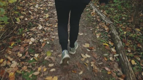 Person Walking On Trail In Autumn Forest In Cheltenham Badlands, Ontario, Canada - Slow Motion