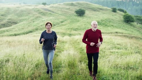 Senior couple enjoying morning jogging on foggy meadow in nature