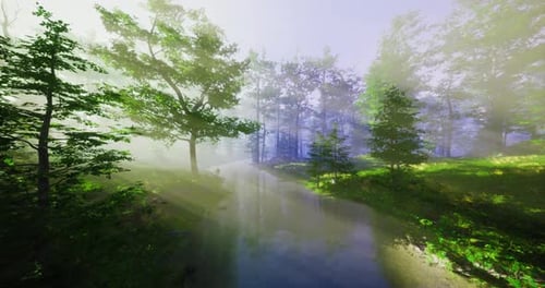 Misty Forest Landscape with Sun Rays Illuminating a Tranquil Stream