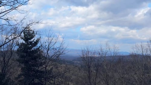 Mountain View Under Cloudy Skies with Bare Trees
