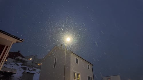 Street lamp in the city and snow falling