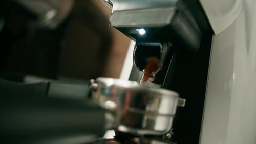 Ground Coffee Pours Into Portafilter from Espresso Grinder