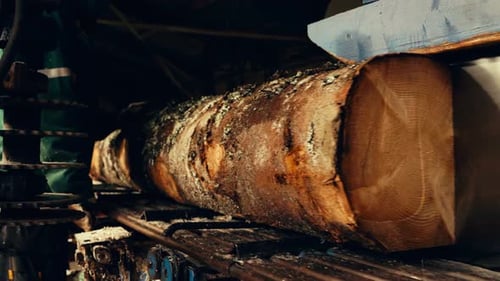 Sawmill - Cutting Logs Into Lumber. - close up