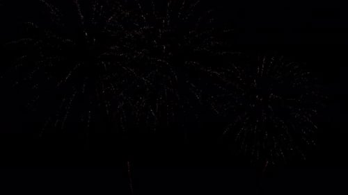 Fireworks with green centers explode in the night sky.