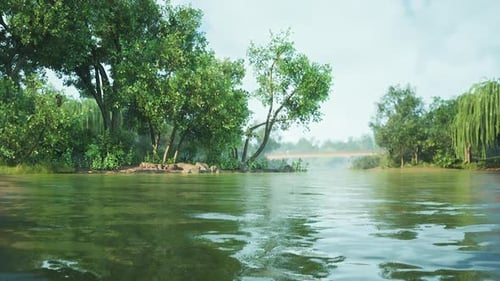 Lush Green Trees Reflecting in Serene River Under a Clear Blue Sky in Summer