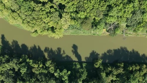 Aerial top down flyover murky river stream. Green forest trees on river bank
