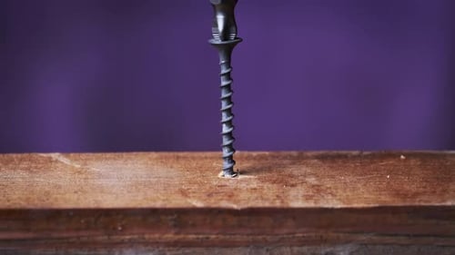 The Screw is Screwed Into the Wood Board with a Screwdriver Extreme Macro